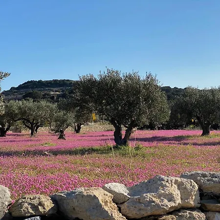 Dom wakacyjny Alyki Sea View Paros Alikí